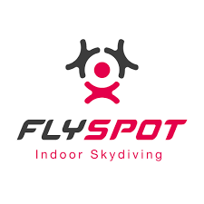 Flyspot