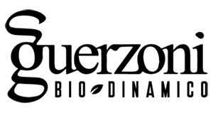 Guerzoni