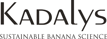 Kadalys