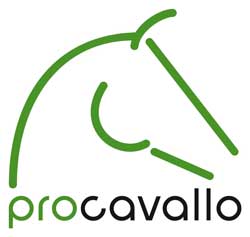 Procavallo