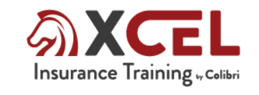 xcelsolutions